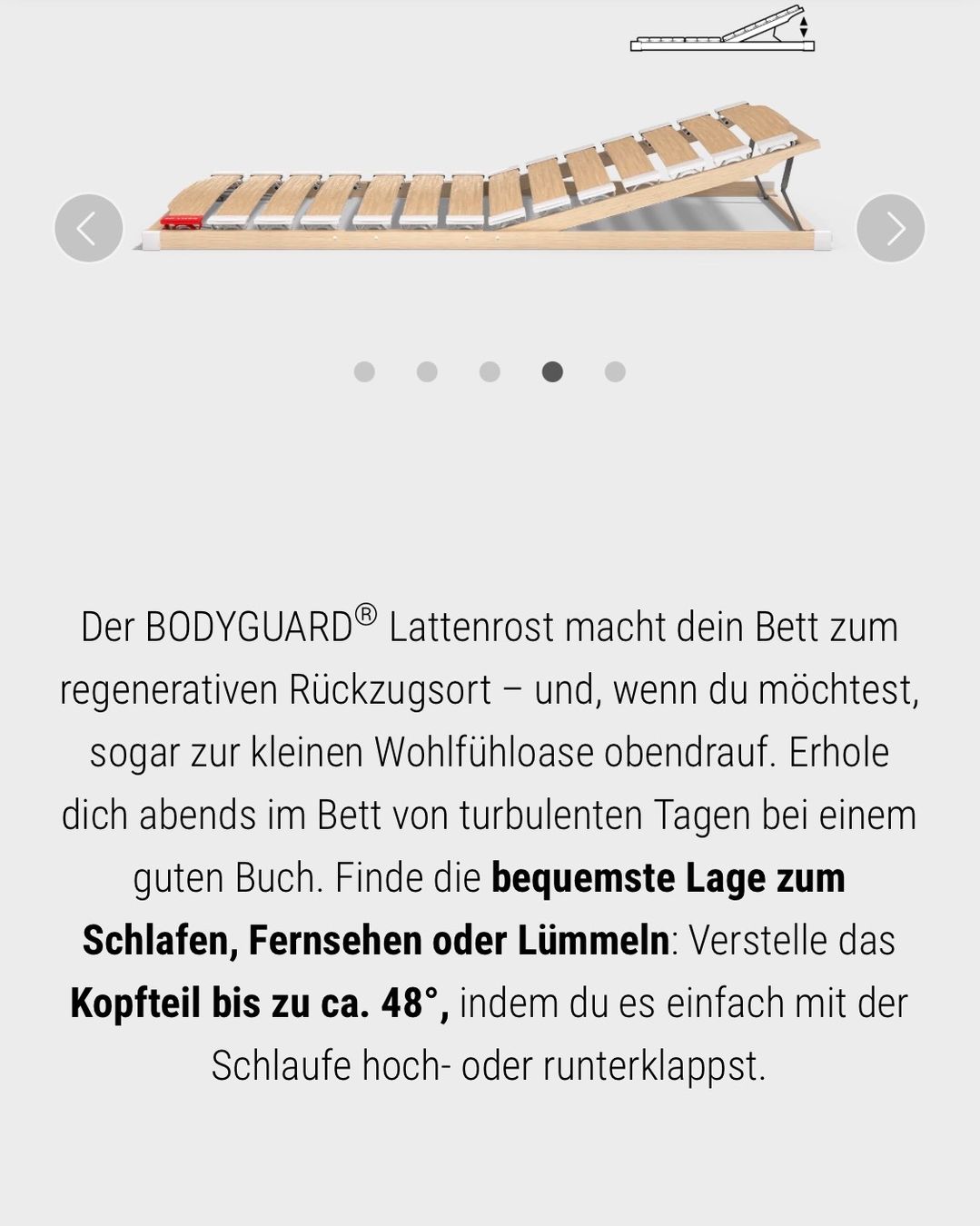 Lattenroste: Lattenrost, Bett1, Bodyguard, Gr. 90x200 – Neu (gemäss Beschreibung) aus Stein AG von Amic_5275 2