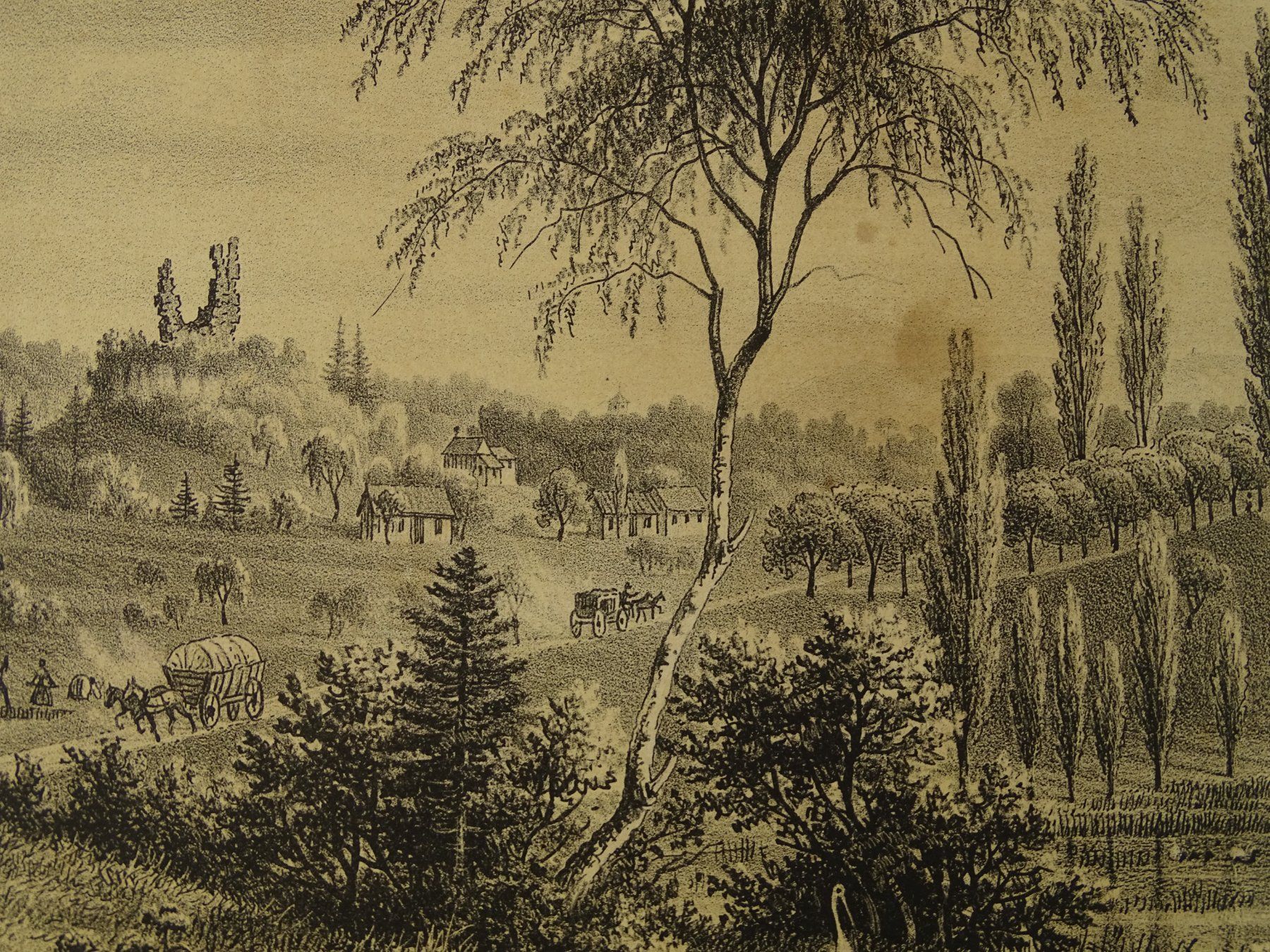 Incisioni: ZÜRICH, REGENSDORF, KATZENSEE, LITHOGRAPHIE VON E. LABHARDT – Usato da Grüningen venduto da Kartensammler 5