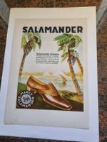 Originale Salamander Schuhe Werbung, Top Zustand!