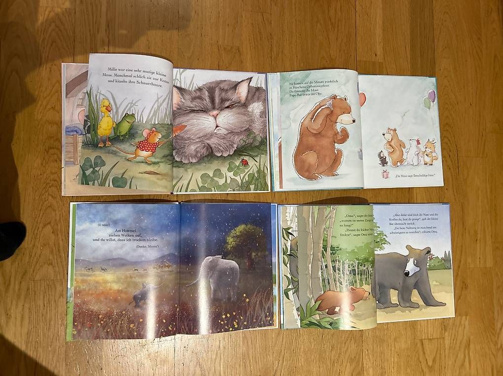 Libri: Bücherset – Usato da Degersheim venduto da Principessa_90 1