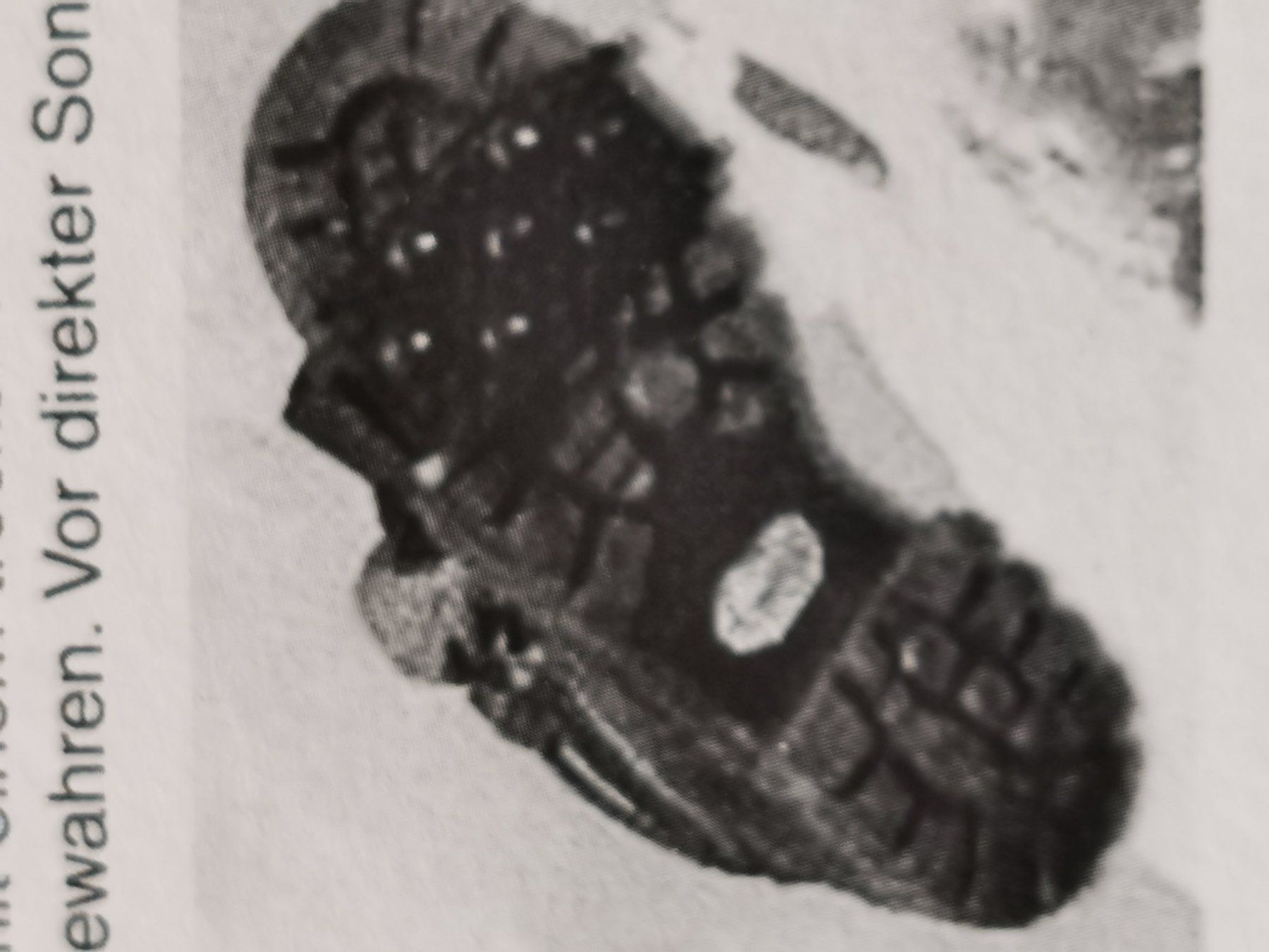 Herrenschuhe: 60 Paar NEUE Schuh-Spikes 5x46cm – Neu und originalverpackt aus Gebenstorf von monschala 2