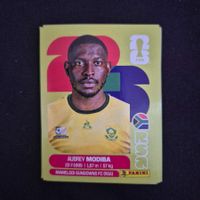 RSA 4 Panini FIFA WM 2026