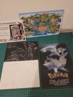 Pokemon Black and White guidebooks, map and inserts!