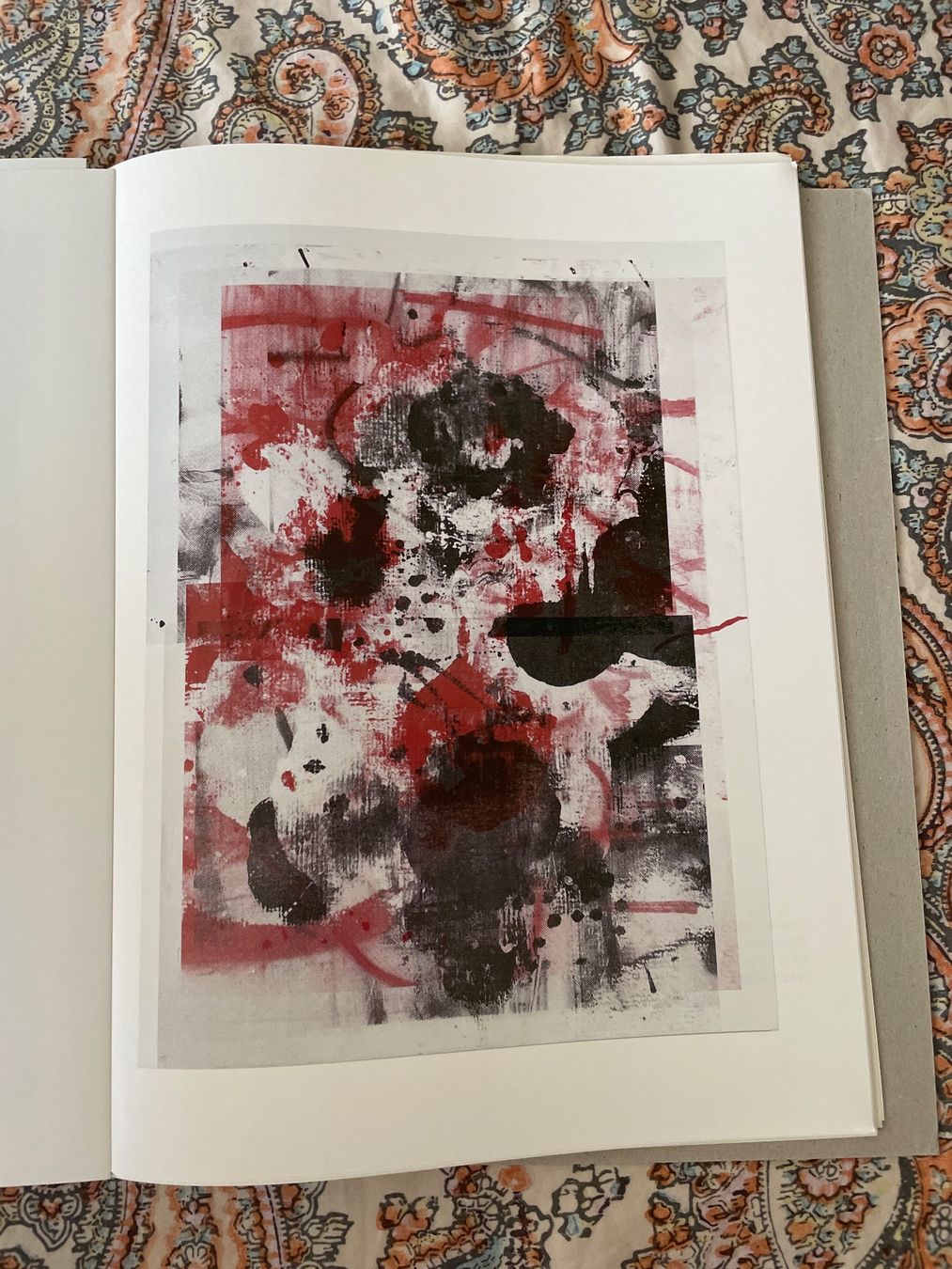 Libri: book  "Roma Termini" Christopher Wool Gagosian Gallery – Usato da Basel venduto da Amechan. 3