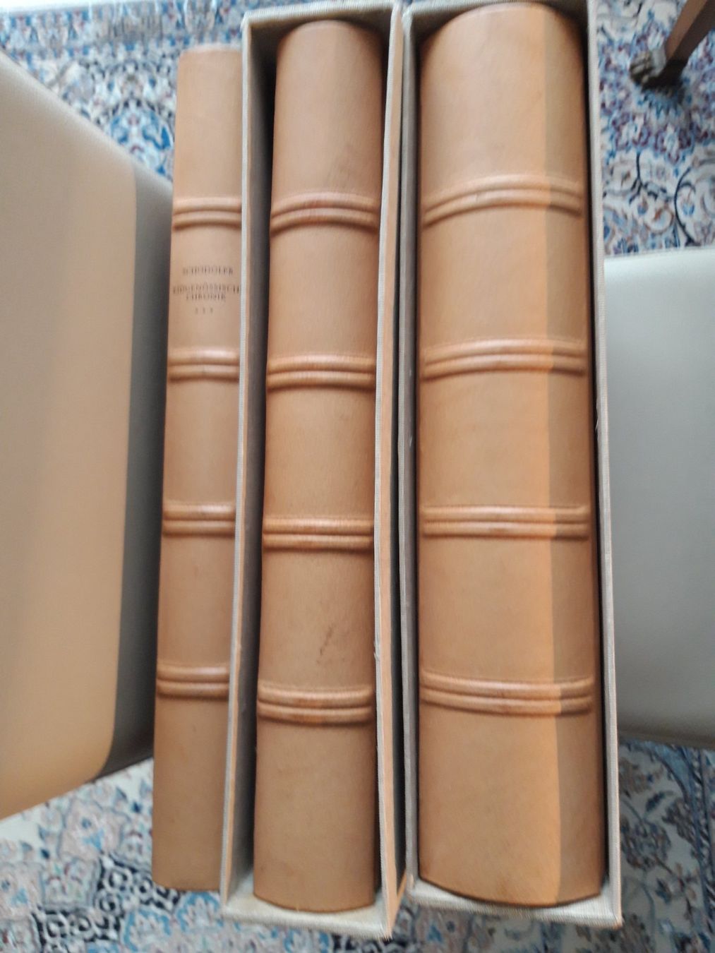 Bücher: Die eidgenössische Chronik des Wernher Schodoler um 1510.... – Gebraucht aus Jona von Buchhengst 5