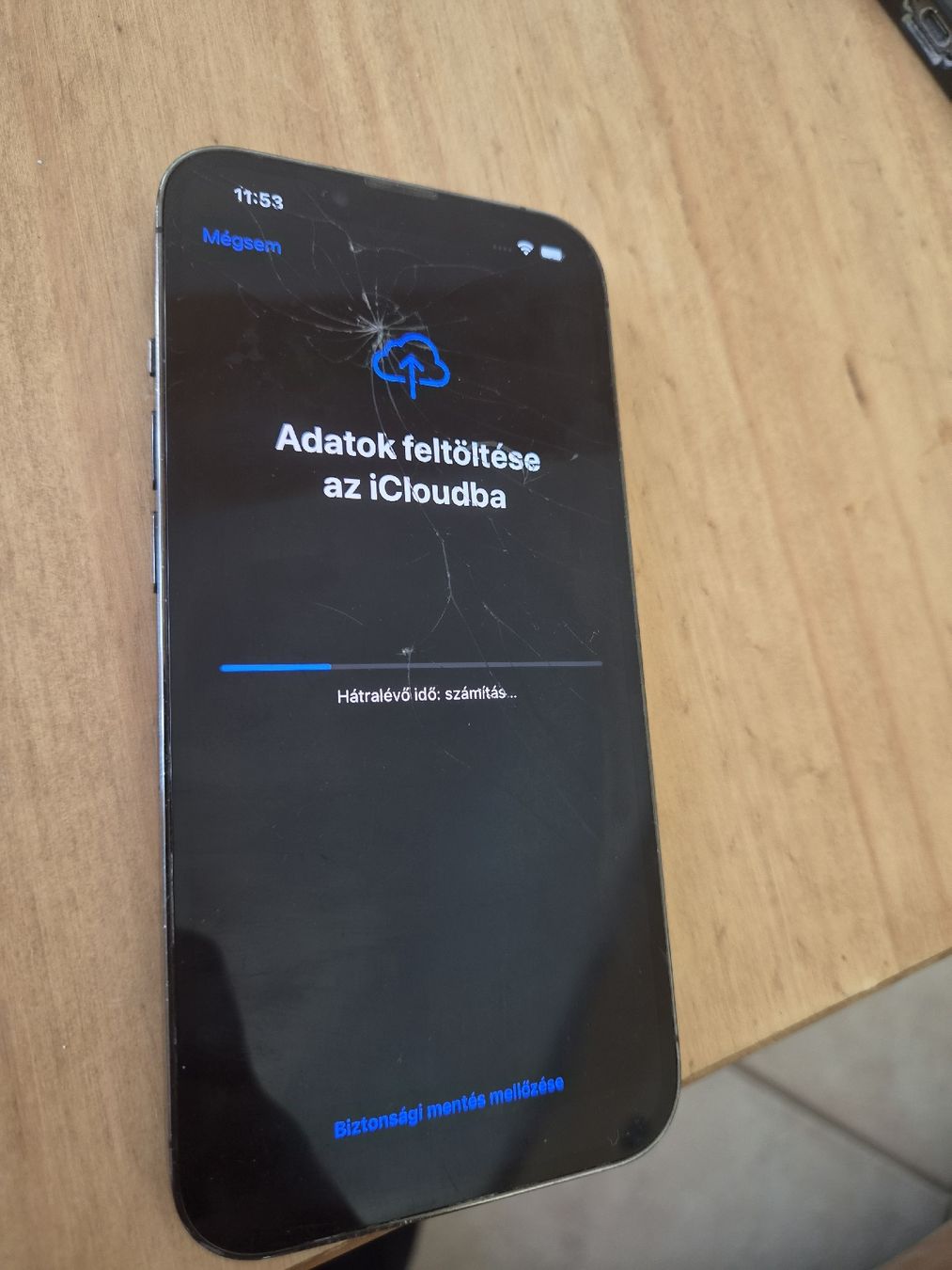 Apple Telefoni cellulari / Smartphones: iphone 13 pro – Usato da Otelfingen venduto da Wxaber 1