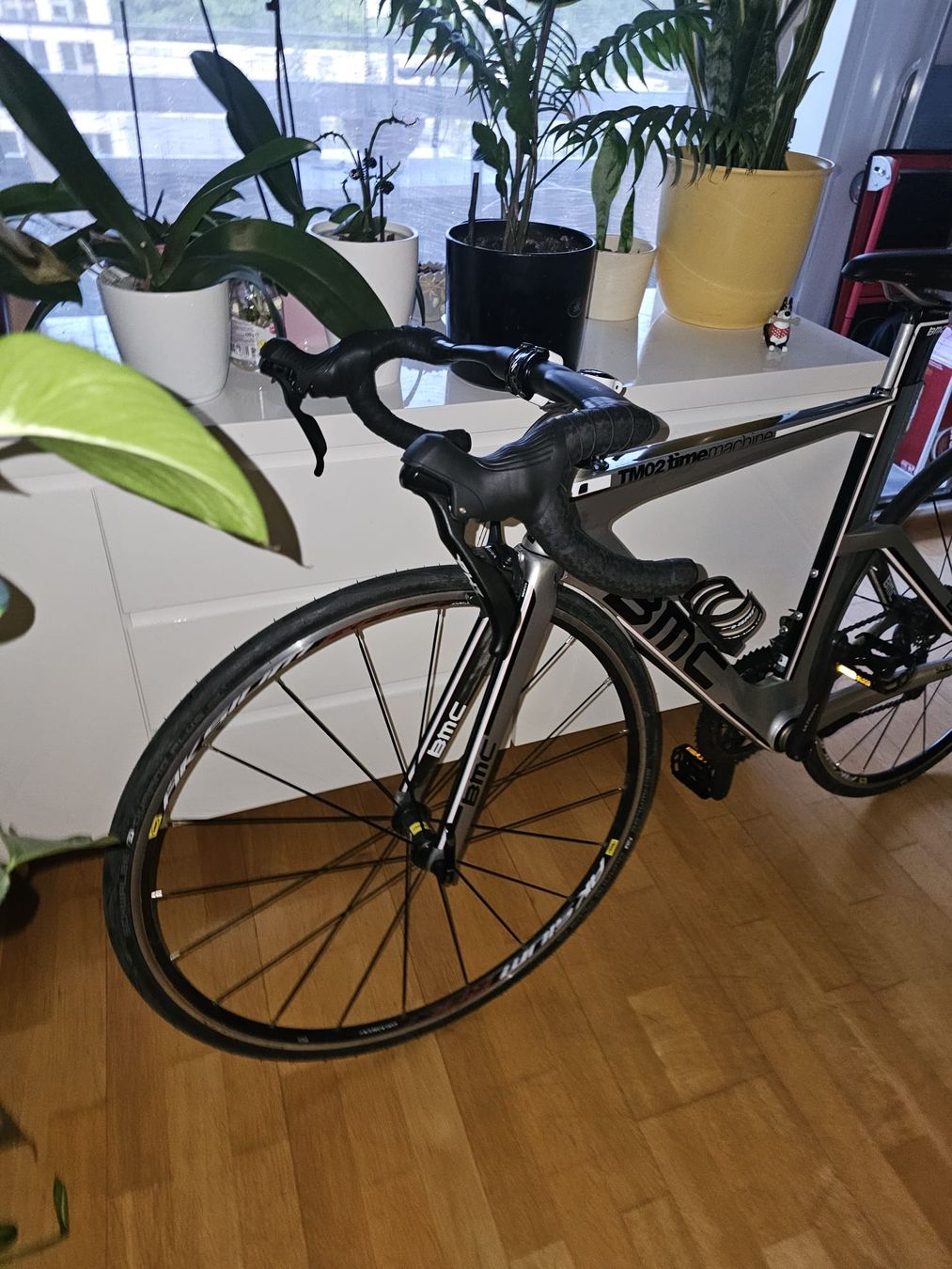 BMC Biciclette: BMC Time machine 02 carbon – Usato da Bern venduto da choco81 1