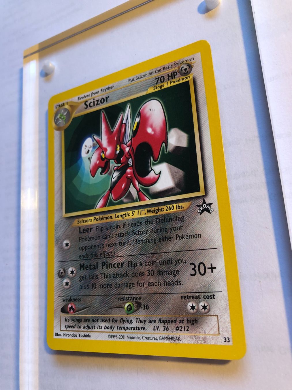 Carte collezionabili: Scizor Promo - MINT - ab 1.- – Usato da Giubiasco venduto da dan_pr8b 2