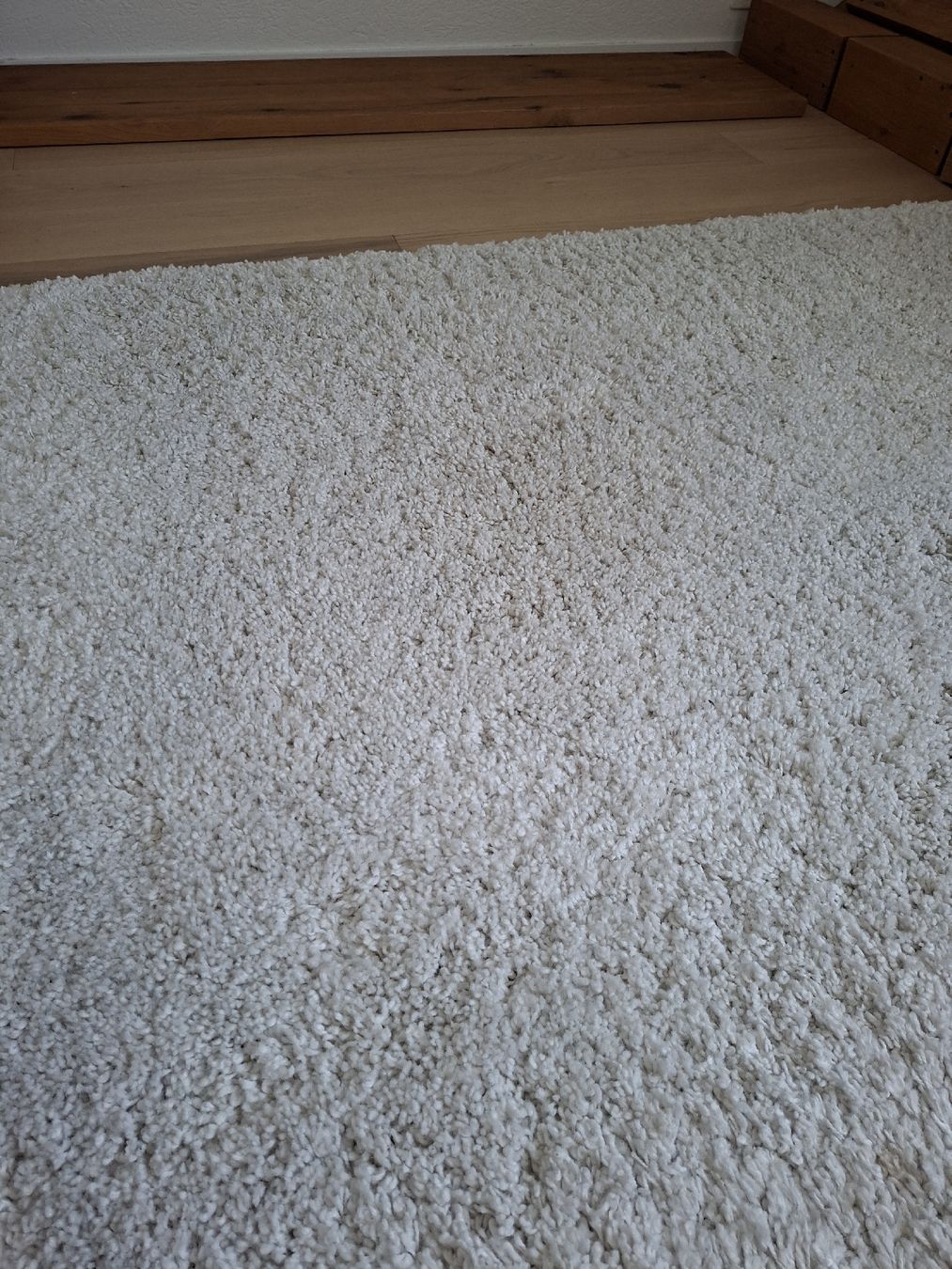 Tapis: Hochfloor Teppich – D'occasion à Gebenstorf par _sunflower_ 1