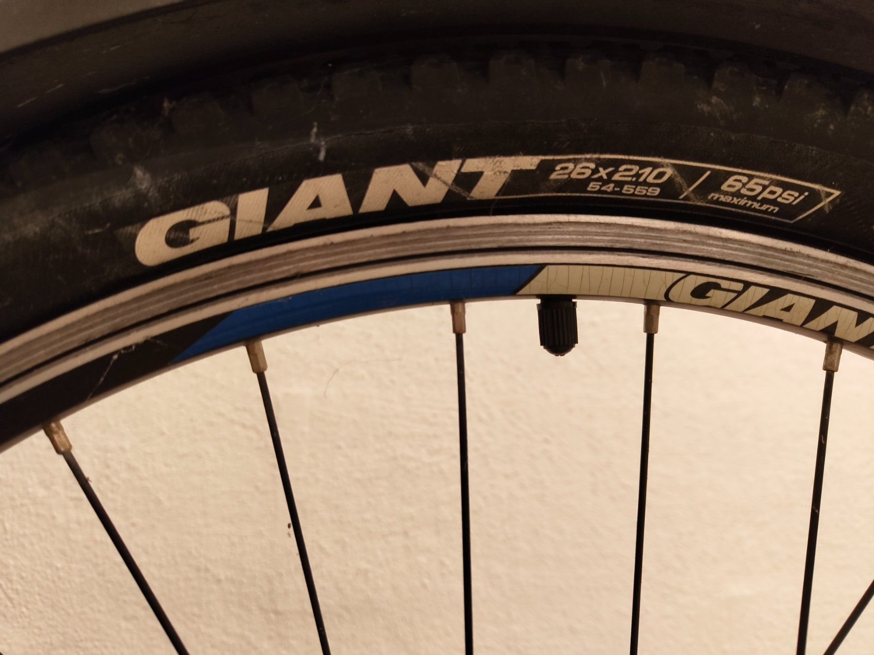 Biciclette: Kinder-Velo "Giant" 26 x 2,10 – Usato da Münchwilen TG venduto da DanBaba 2
