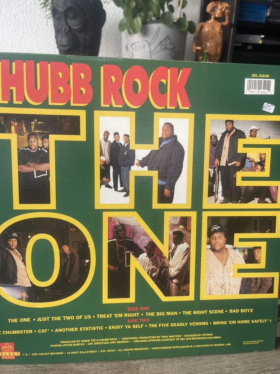 Dischi in vinile: Chubb Rock / The One  – Nuovo (secondo la descrizione) da Dagmersellen venduto da stonefinger 1