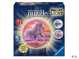 3D Nachtlicht Pferde am Strand 11843