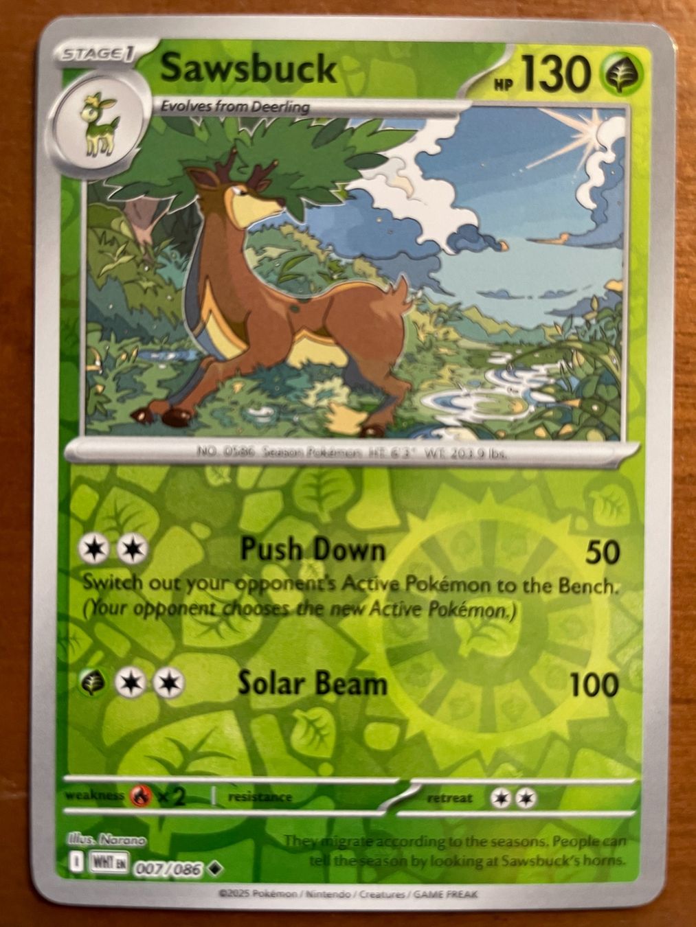 Pokémon Carte collezionabili: Pokemon Sawsbuck Reverse (Versand gratis) – Nuovo (secondo la descrizione) da Chur venduto da Angerson