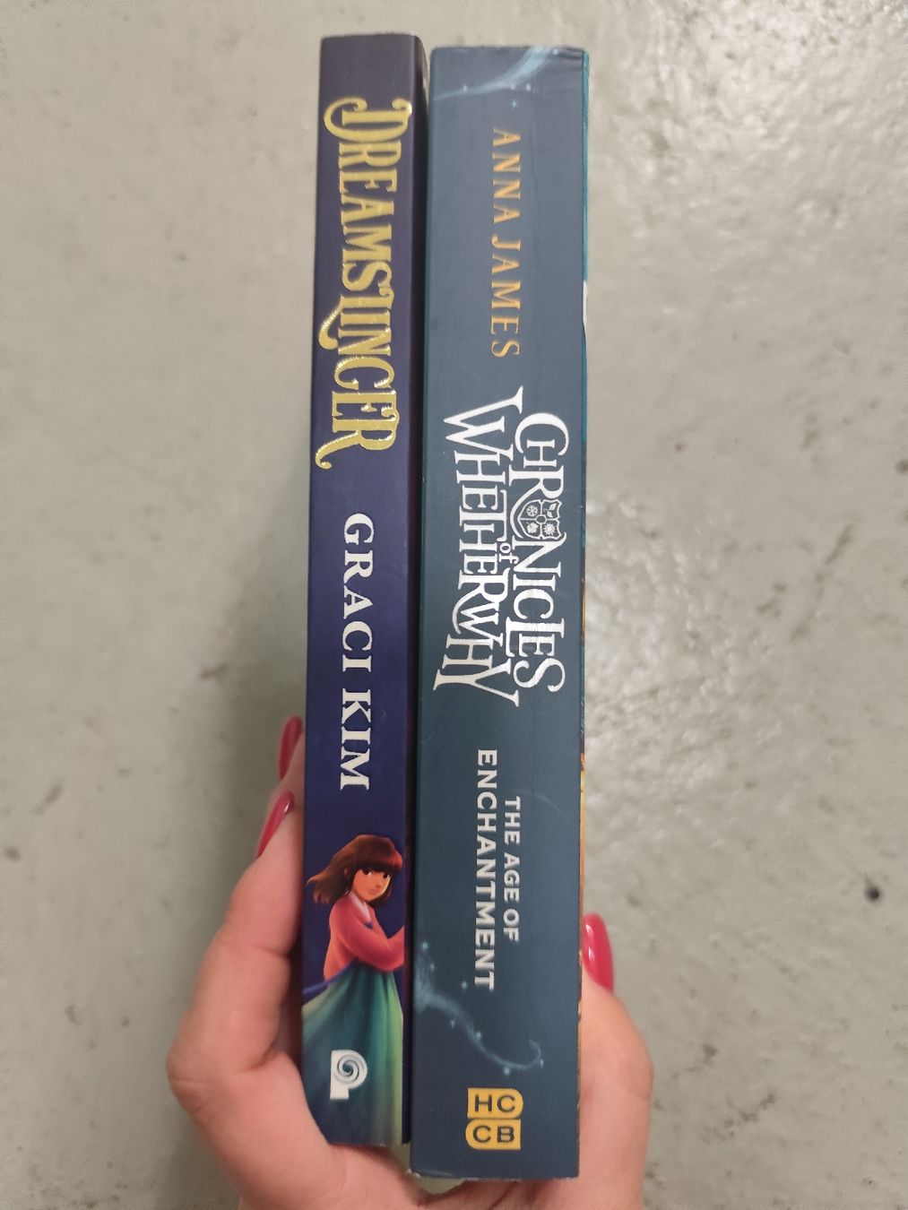 Libri: Fantasy Book Set: Chronicles of Whetherwhy and Dreamslinger – Usato da Mägenwil venduto da VintageGirly 5