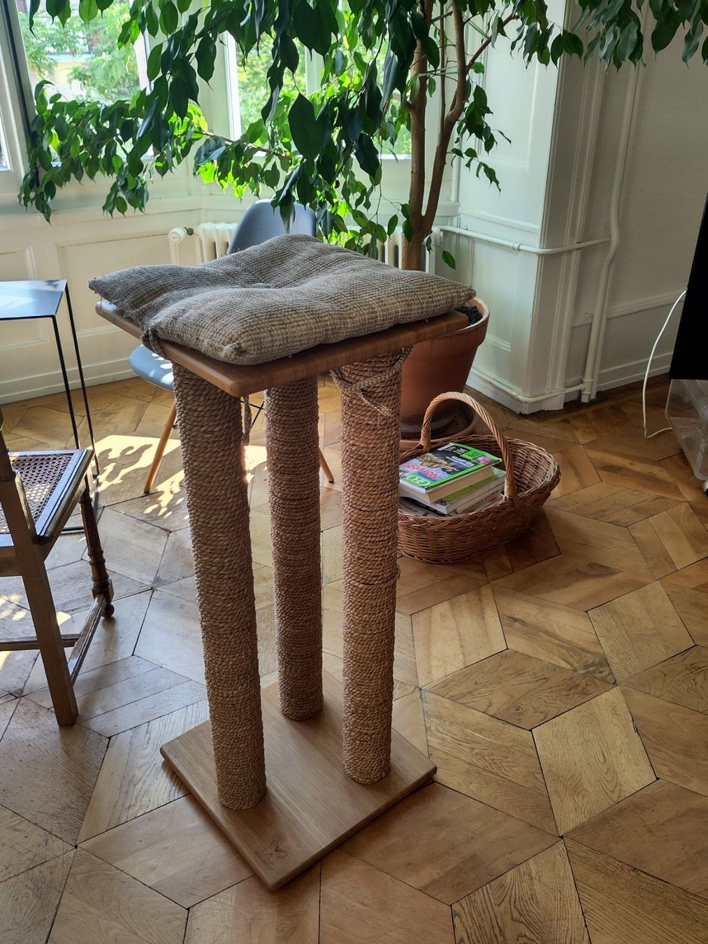 Tiragraffi: Arbe à chat – Usato da Genève venduto da IngridK0102