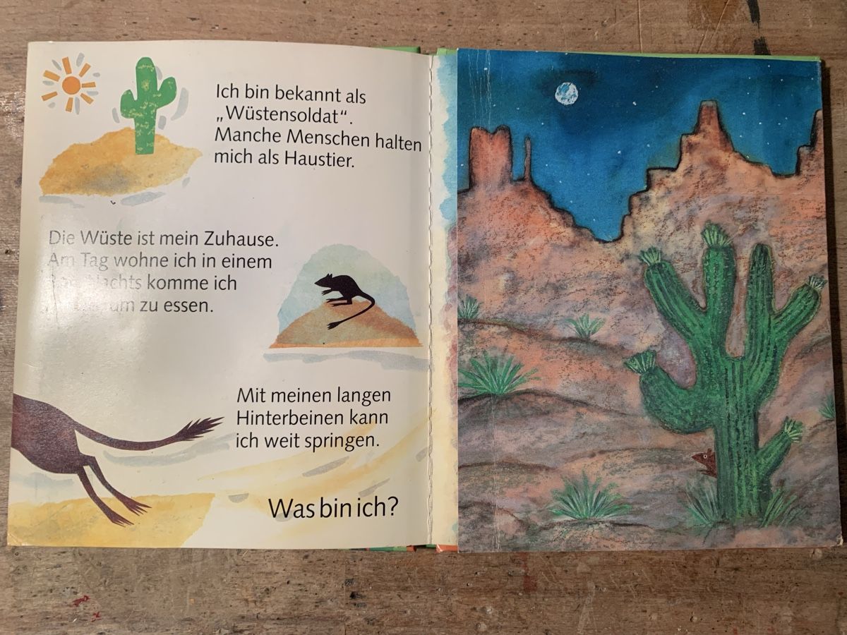 Libri: Hüpftiere - Pop-up-Buch, Bü2 – Usato da Erlenbach ZH venduto da Ritschly 2
