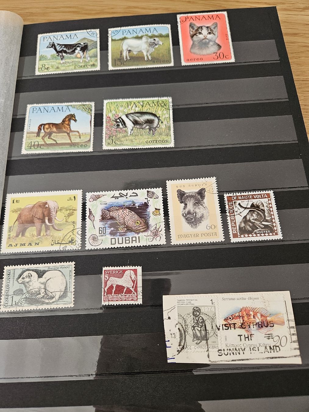 Album: Briefmarkenalbum mit Briefmarken – Usato da Heimenschwand venduto da chr_p2jp 9