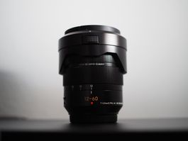 Panasonic LUMIX G Leica DG Vario-Elmarit 12-60mm f/2.8-4