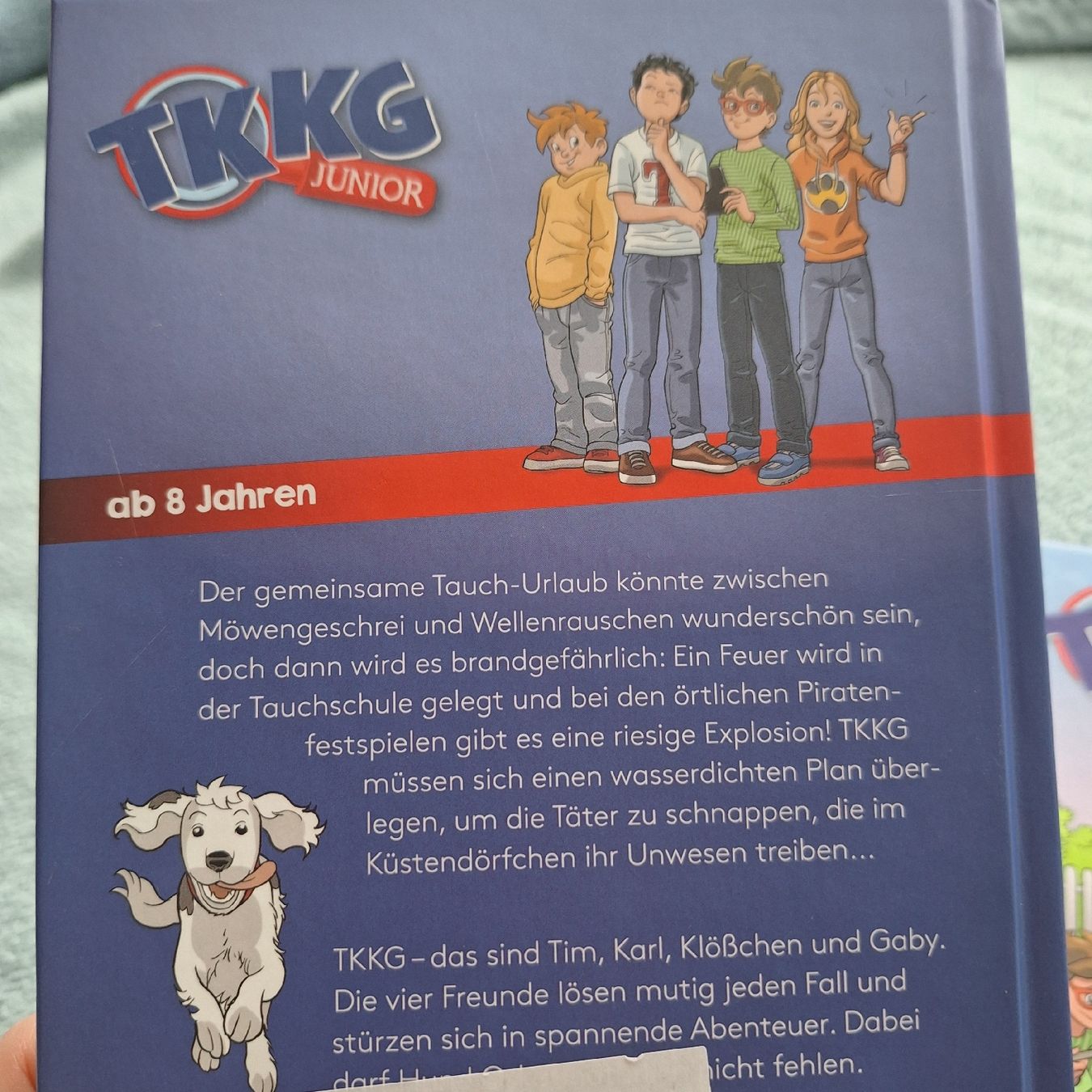 Libri: 2 TKKG-Bücher – Nuovo (secondo la descrizione) da Dachsen venduto da Luna261081 1
