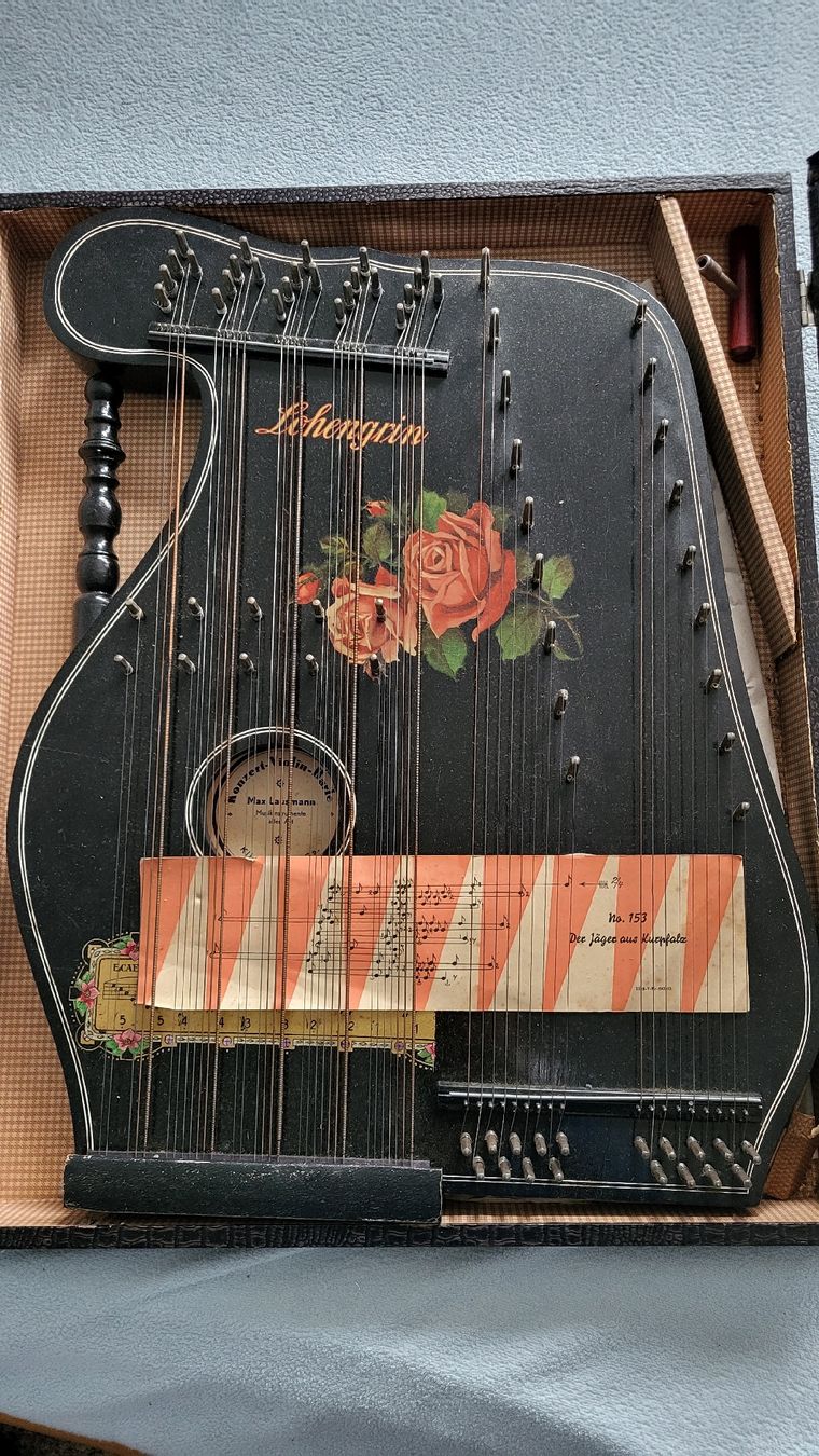 Strumenti musicali: Zitter – Usato da Appenzell Steinegg venduto da albert89