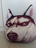 Kissen Husky
