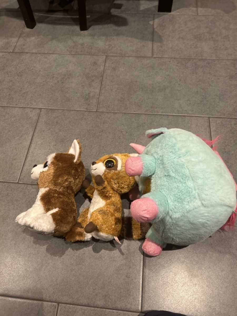 Spielzeuge: 3 Kuscheltiere von TY ca. 20-30 cm gross – Gebraucht aus Mühledorf SO von Dania77 1