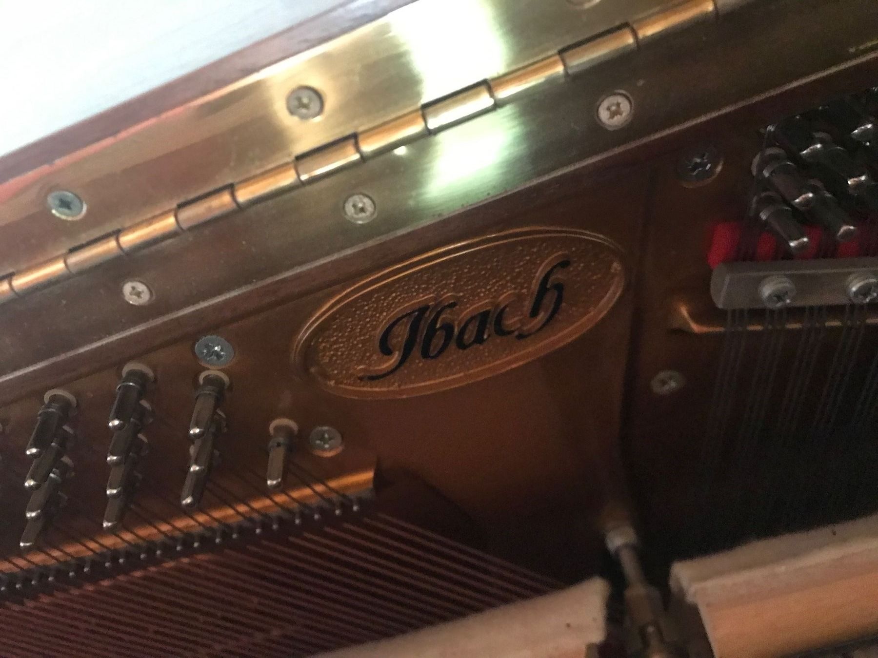 Strumenti musicali: klavier ibach – Usato da lohn-ammannsegg venduto da kkaiser 2