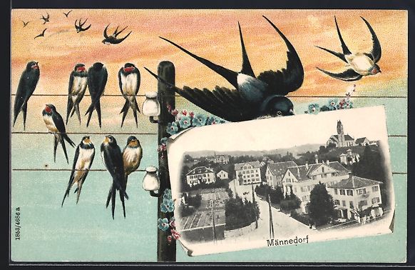 Cartoline postali: Männedorf, Ortsansicht im Passepartout  – Usato da Berlin venduto da bartko-reher