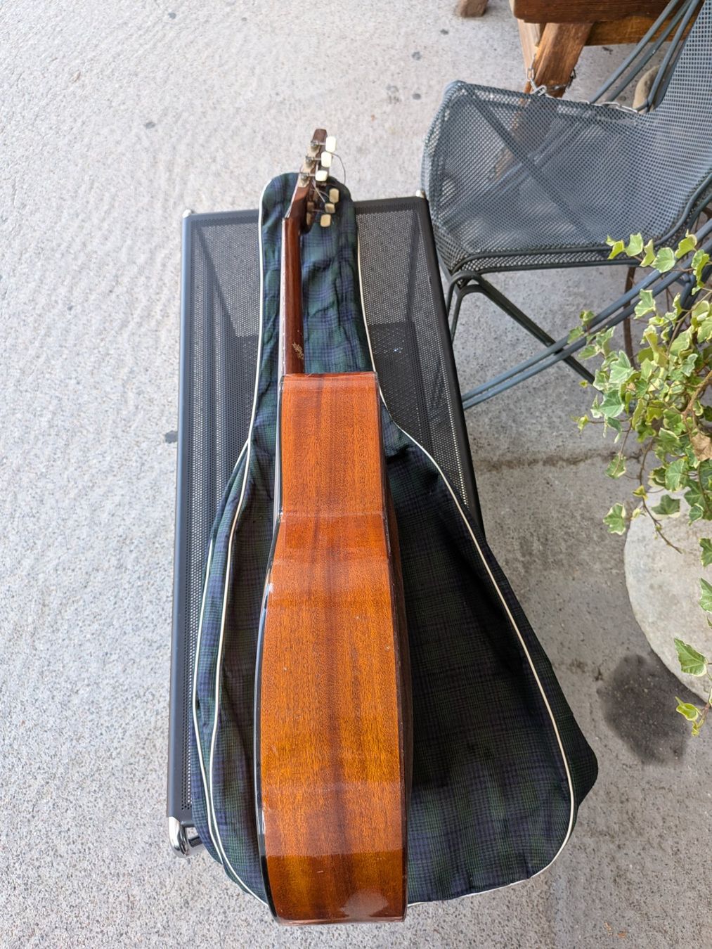 Framus Strumenti musicali: Gitarre Framus mit Etui – Usato da Emmen venduto da Brockofsky 4