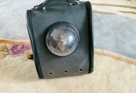 Génial sac à dos pour transport de petit chien à moto vélo…