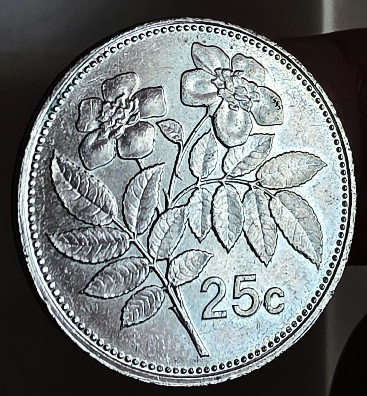 Tutti le monete: MALTA 25 CENTS 2001 – Usato da Winterthur venduto da Creso70