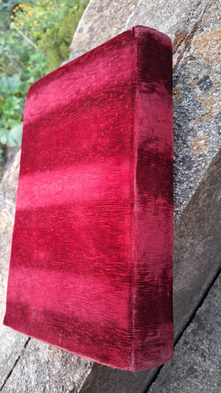 Alben: Altes Photoalbum – Gebraucht aus Bönigen von saft195619 1