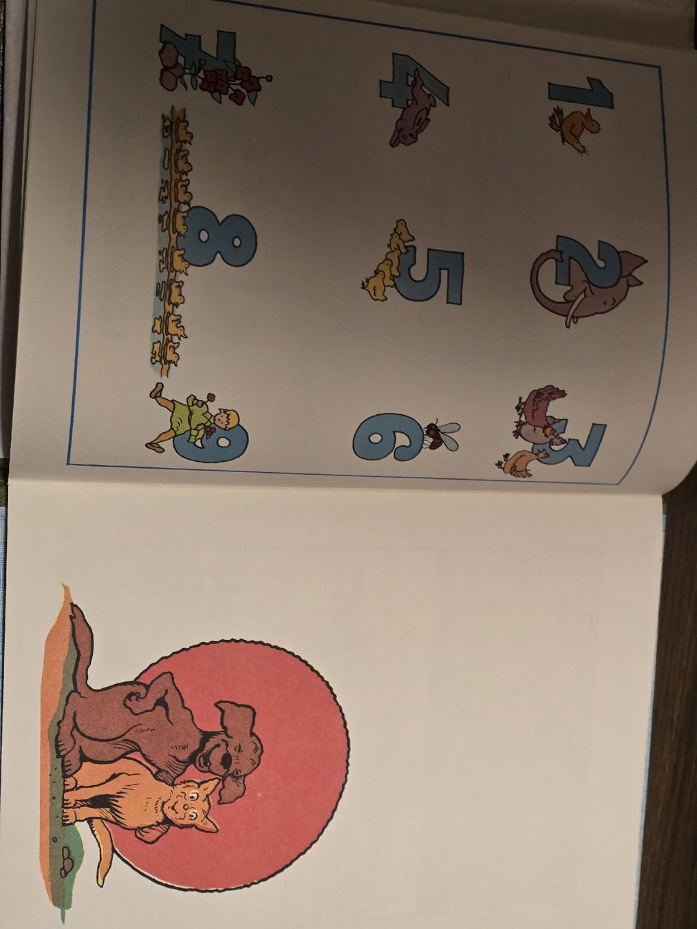 Libri: Livre pour enfants "Apprenons à compter" Garnier Paris – Usato da BADEN venduto da Sprinz 3