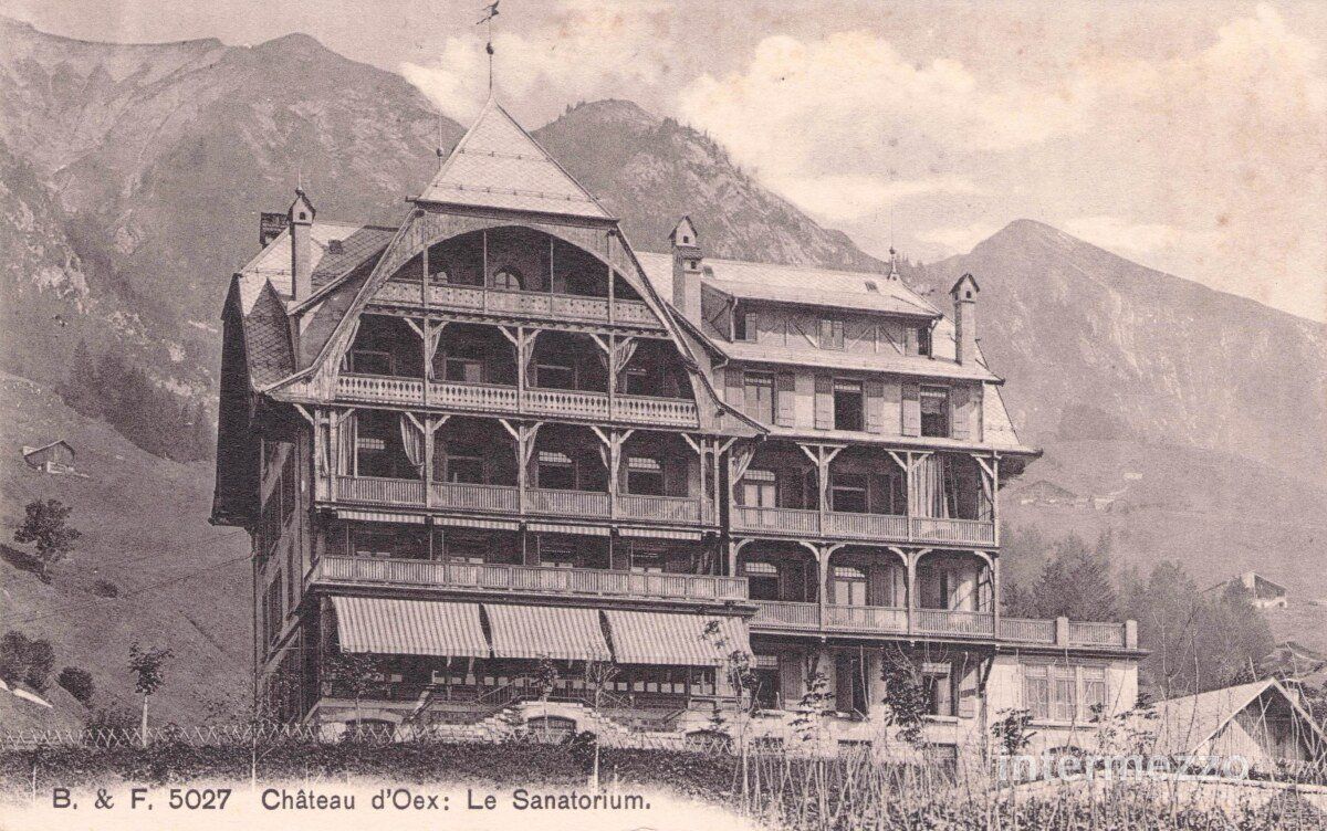 Cartoline postali: Château d'Oex VD // ca. 1920 Le Sanatorium – Usato da Basel venduto da intermezzo12