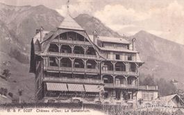 Château d'Oex VD // ca. 1920 Le Sanatorium