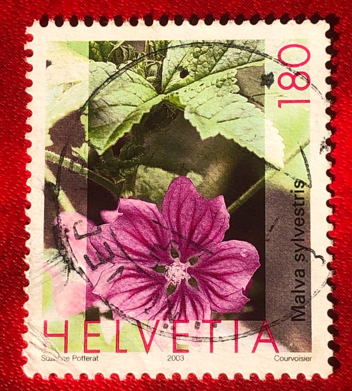 Tutti i francobolli: CH Briefmarken Vollstempel   – Usato da Aarau venduto da Billa007