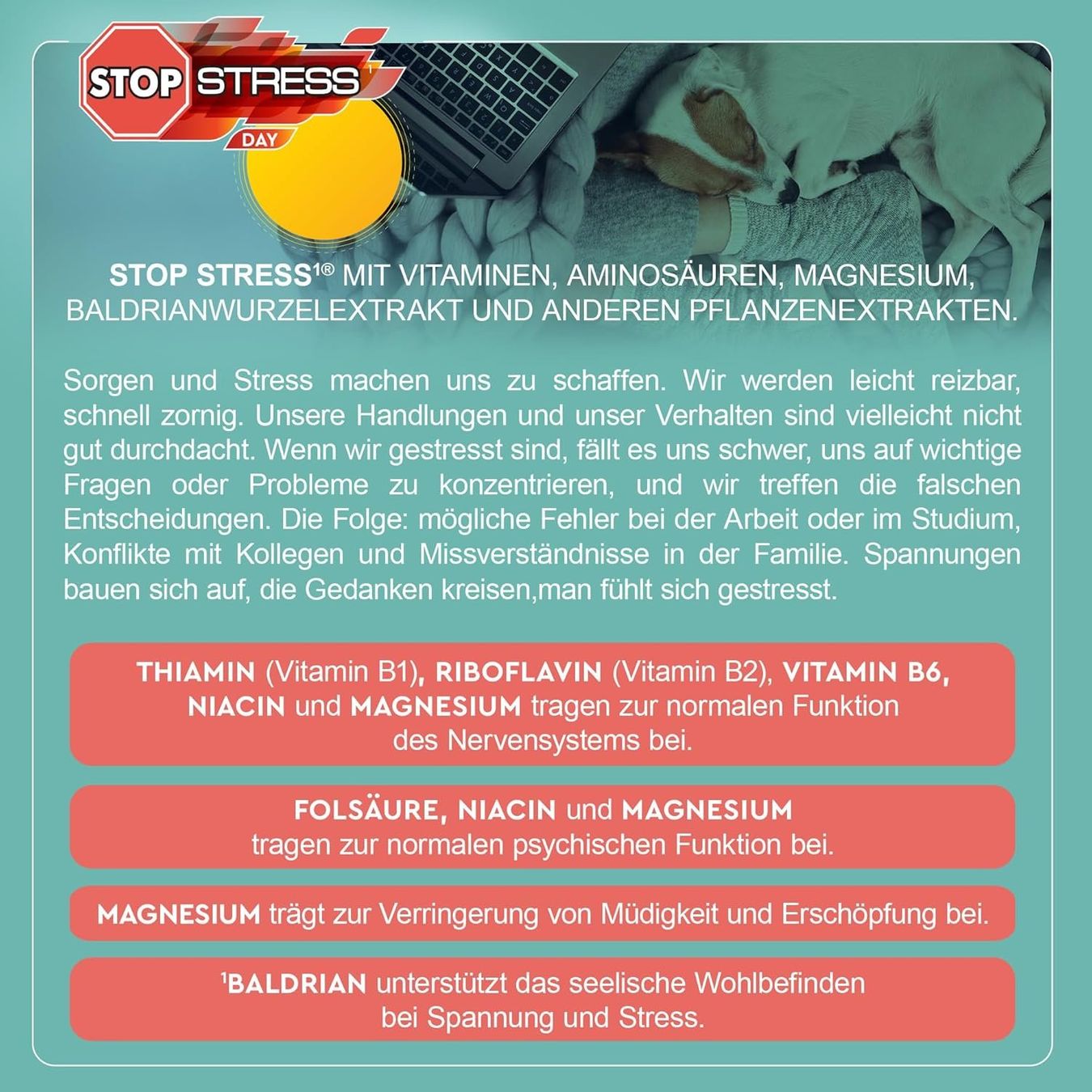 Lebensmittel & Spezialitäten: Anti Stress Kapseln Magnesium Baldrian – Gebraucht aus Suhr von TradeMasters 7