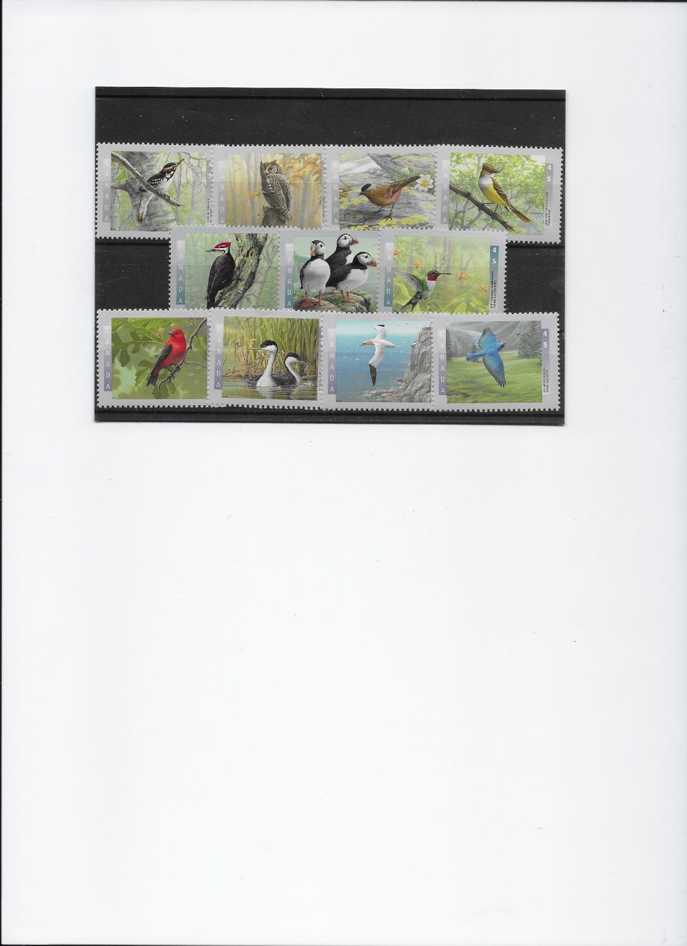 Tutti i francobolli: Vögel auf Canada-Briefmarken ** – Nuovo (secondo la descrizione) da Kriens venduto da Pontrix