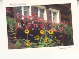 Wallis 1995