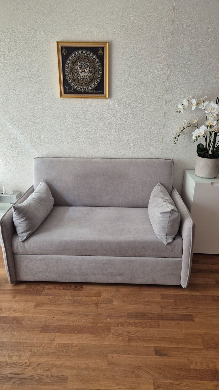 Conforama Divani: Bettsofa Stoff hellgrau sehr gut erhalten – Usato da Zürich venduto da rog_v2f5