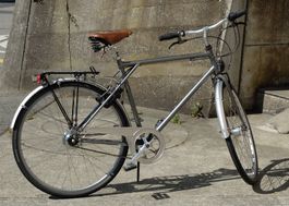 Aarios Spider Rohloff