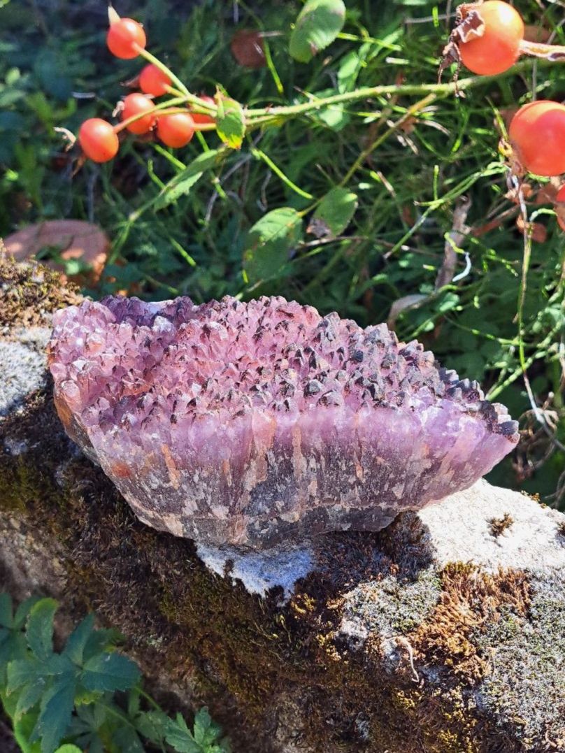 Minerali & Pietre curative: Spanischer Amethyst – Nuovo (secondo la descrizione) da Richterswil venduto da Viorella 1