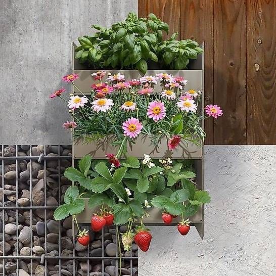 Armadi: Stapelgarten  – Usato da Windisch venduto da Xabeba 3