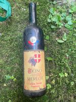 Merlot del Ticino 2004