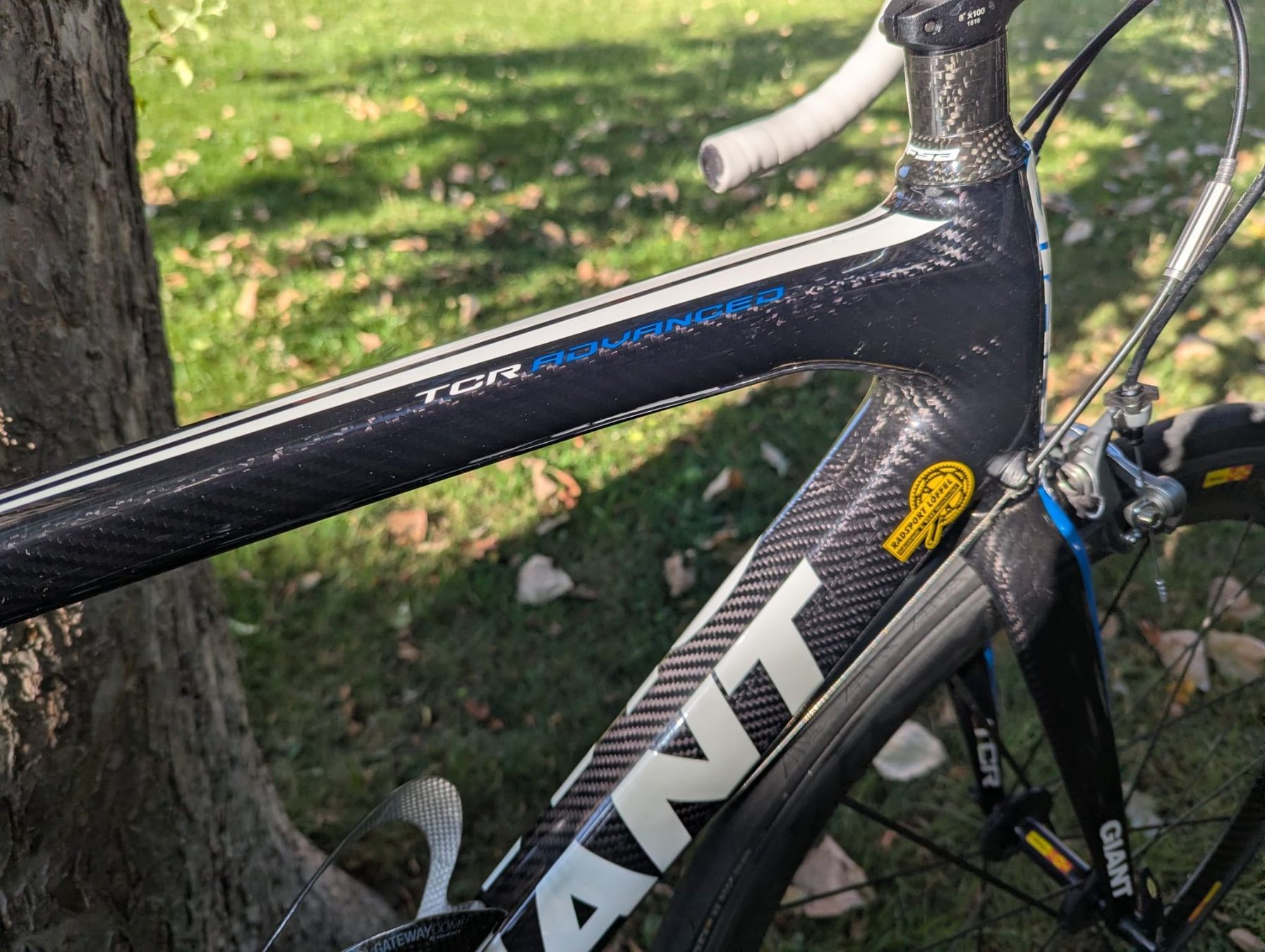 Giant Vélos: GIANT TCR Advanced – D'occasion à Köniz par Tomsen0 2