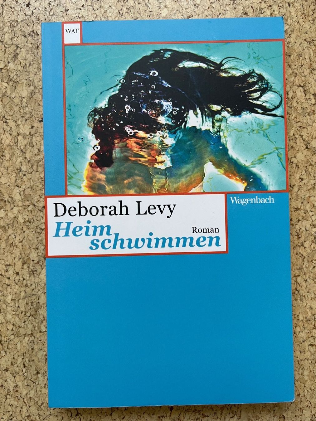 Libri: Taschenbuch "Heimschwimmen", Deborah Levy – Usato da Grosswangen venduto da Vita500