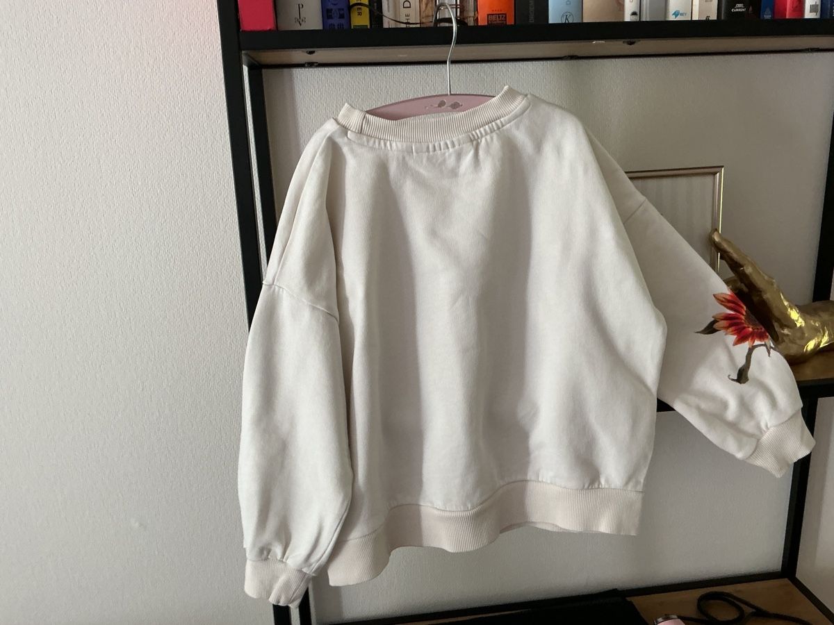 Molo Pulls et sweat-shirts: Molo Pullover (Grösse 116  – D'occasion à Kilchberg ZH par nad_6dwp 1