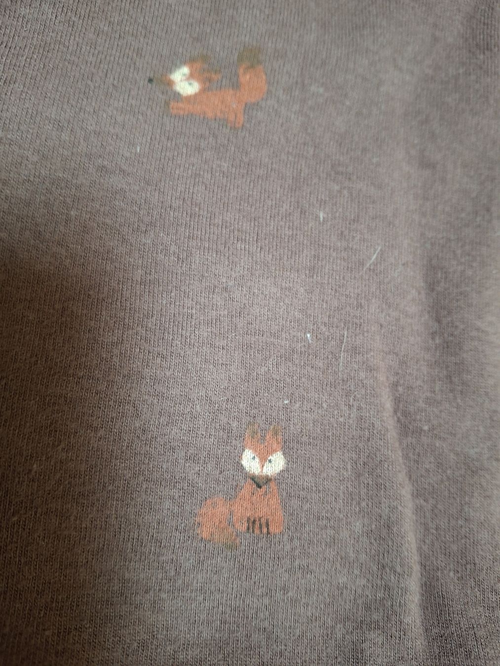 Zara Lotti di vestiti: Pullover e pantaloni Zara -taglia 86 – Usato da Broglio venduto da audina83 1