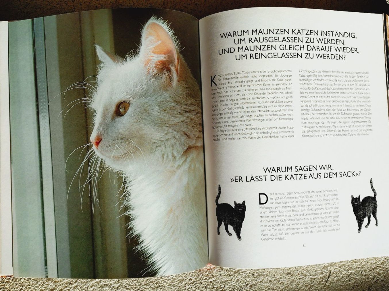 Livres: Desmond Morris: Catwatching, grosser Bildband – D'occasion à Uster par Junipa 6