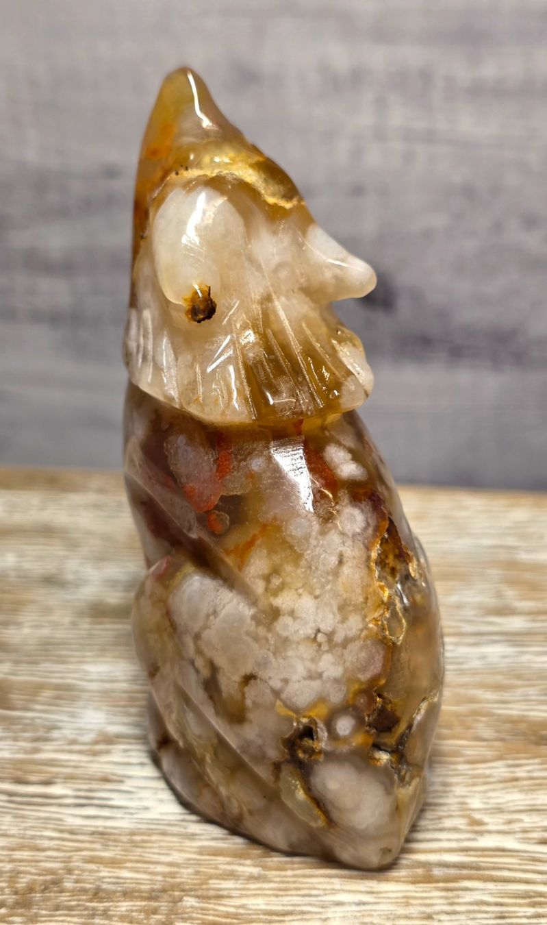 Minerali & Pietre curative: Blumenachat Wolf 205g – Nuovo e nell'imballaggio originale da Matzingen venduto da Shay_Crystalz 2